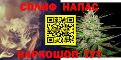 гидропоника Камышлов
