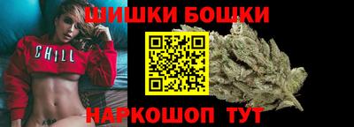 гидропоника Камышлов