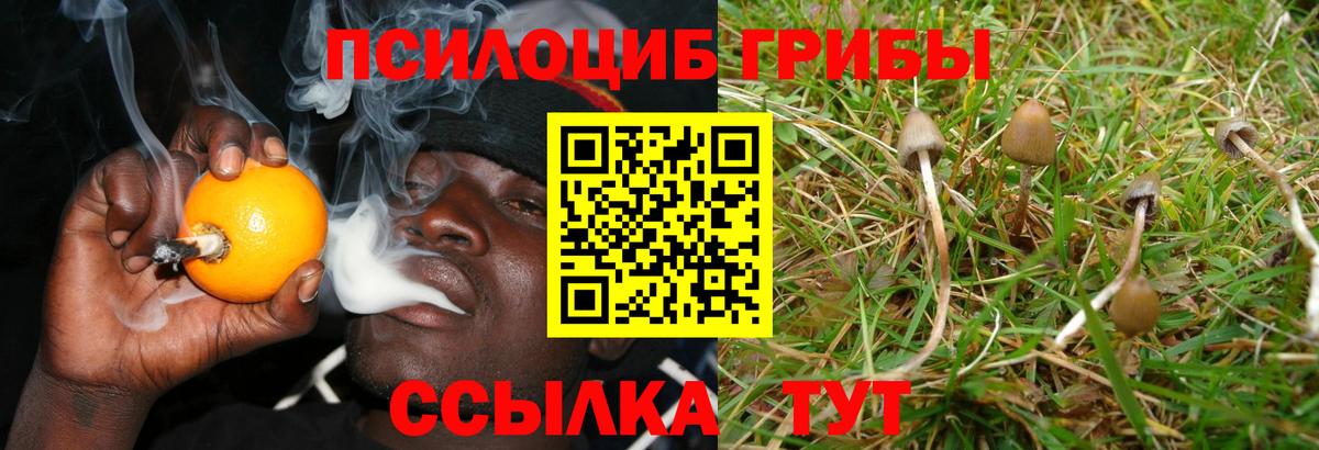 Кудымкар  Галлюциногенные грибы мицелий  дарнет шоп  Вход с VPN 